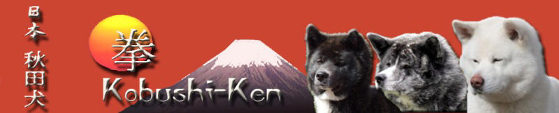 Banner Kobushi-Ken