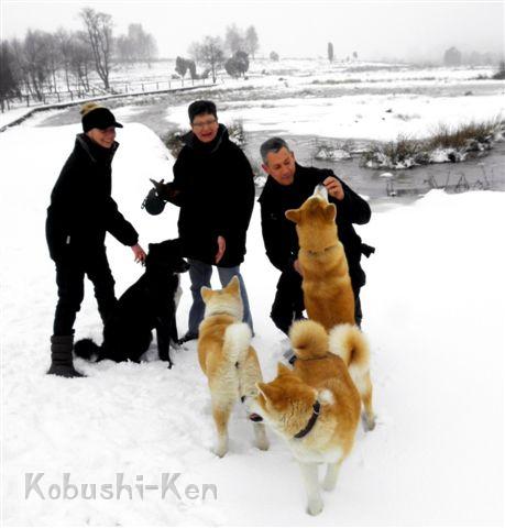 Lueneb.Heide_02_11.jpg - Lüneb.Heide _02:   Spaziergang im Schnee mit Akita-Freunden