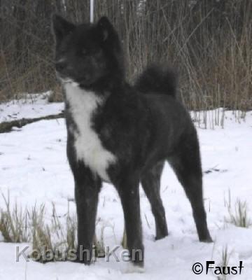 kosho_10.JPG - Kosho  März 2008