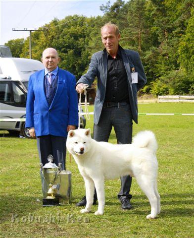 IMG_4341a.JPG - Rüde -Chuseishin Go Koisakura Kensha mit 15 MonatenBest in Show auf der Rassehunde-Gemeinschaftsausstellung in Betzenstein