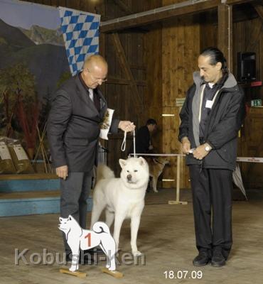 DSC_5817a.jpg - Platz 1 in der Ehrenklasse auf der 1. Vereinssieger-Ausstellung in Grassau