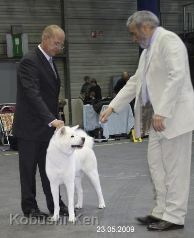 IMG_0830a.JPG - Yuki bekommt Platz 1 in der Ehrenklasse auf der IRA in Oldenburg