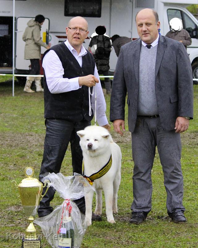 Yuki_BIS_2586.JPG - Yuki wird Best in Show am 20.10.13