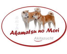 akita-akamatsu-no-mori