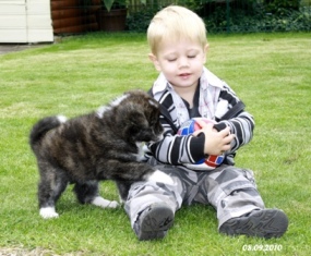 puppy and child