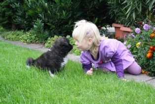 puppy and child